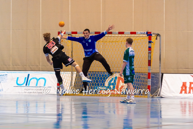 Handball