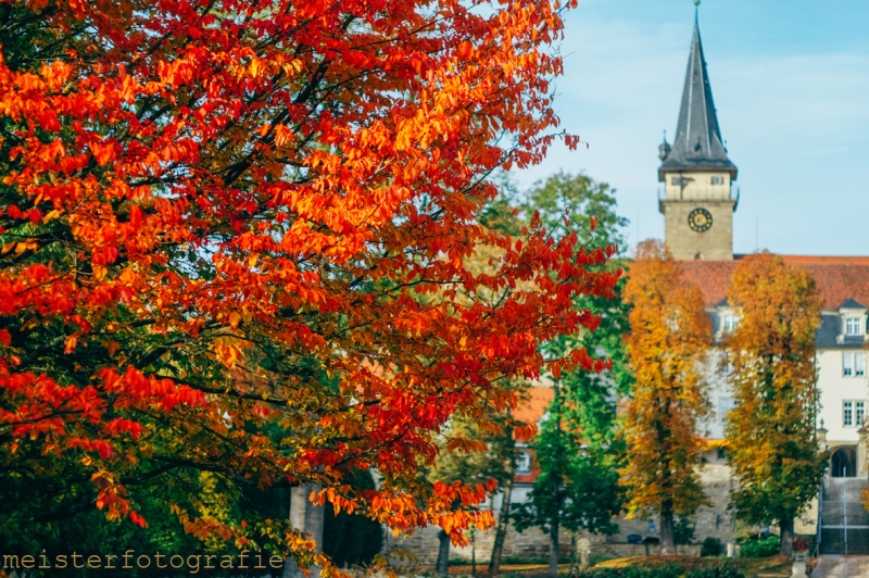 Öhringen im Herbst