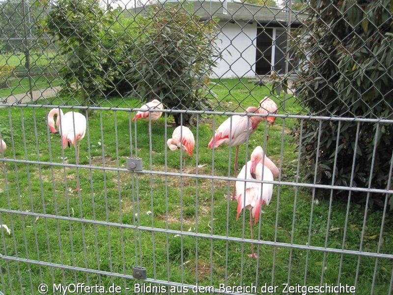 Vogelpark Linkenheim am 28.10.2019