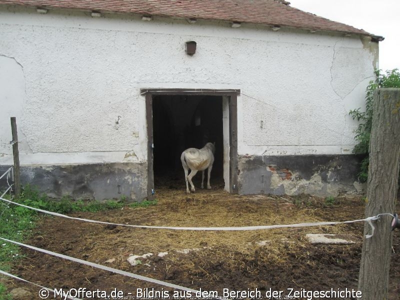 Touristisches und Kulturelles Zentrum Szantodpuszta