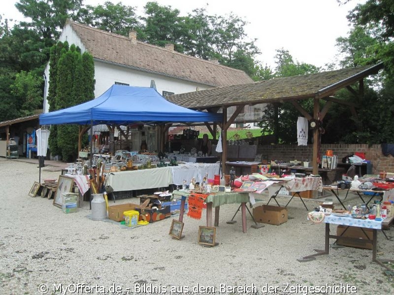 Ich gehe gerne auf viele Messen, aber der Flohmarkt ist etwas Besonderes