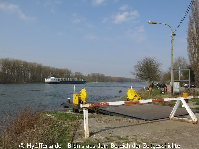 Ein Tag vor dem Frühling am Rhein in Leopoldshafen