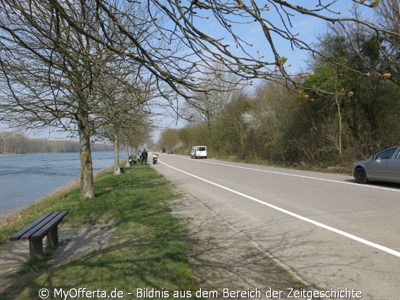 Ein Tag vor dem Frühling am Rhein in Leopoldshafen