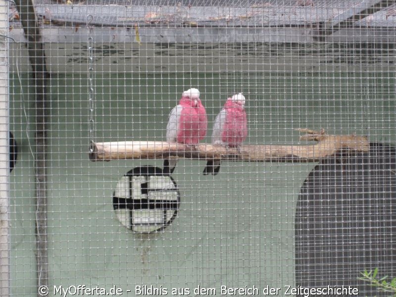 Vogelpark Linkenheim am 28.10.2019