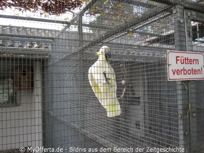 Vogelpark Linkenheim am 28.10.2019