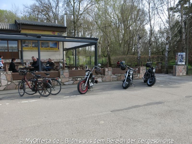 Ein Tag vor dem Frühling am Rhein in Leopoldshafen